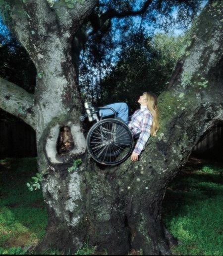 Woman in a wheelchair in a tree  © HPOD